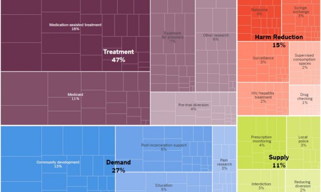 Opioid Epidemic Budget Exercise