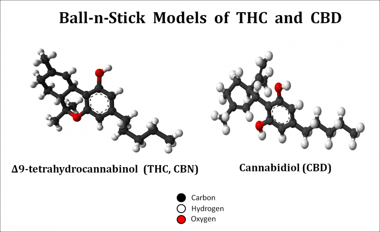 THC and CBD