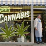 Yes, cannabis use goes up when it’s legal
