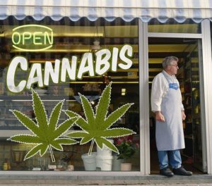 man in apron standing in the door of a storefront with striped awning, 'open' sign and 'cannabis' with leaf profiles on window