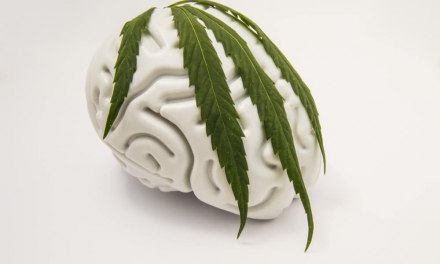 High Strength Cannabis