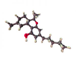 THC molecular model