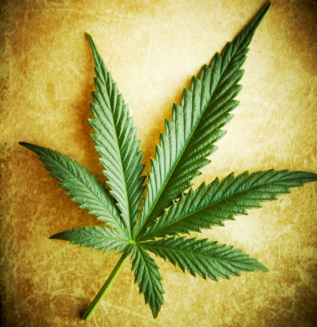 Preventing Adolescent Cannabis Abuse