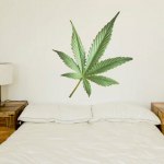 The Cannabis Cure?