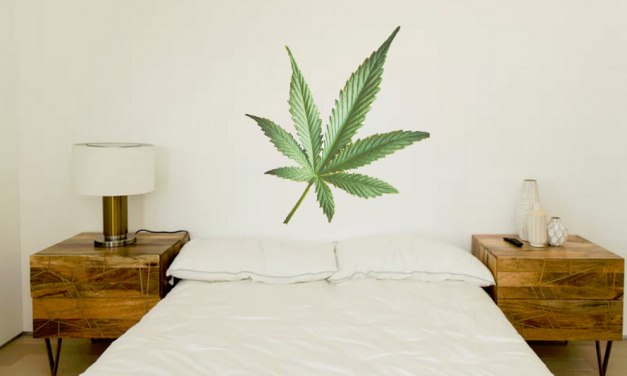 The Cannabis Cure?