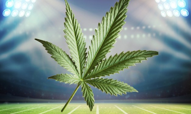 Pot and the NFL Draft