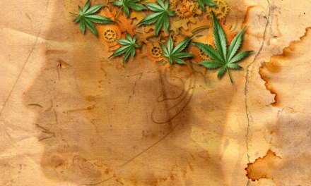 Controlling Cannabis