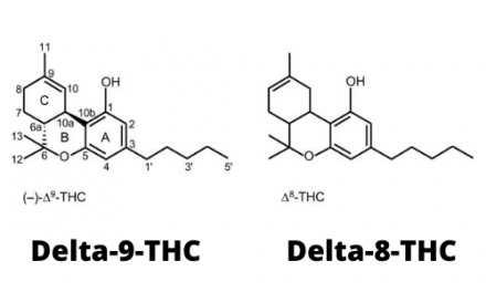 Delta 8 THC: Super-legal Cannabis?