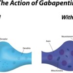 Another Look at Gabapentin