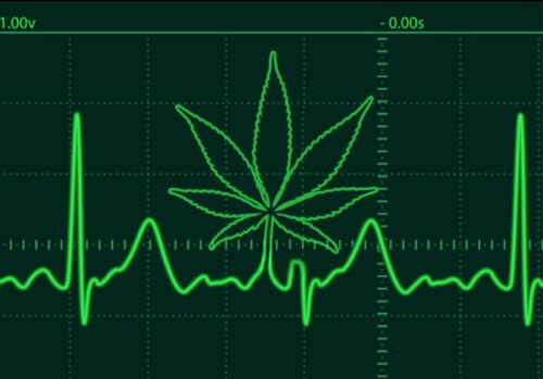 green line on black background showing peaks and valleys with cannabis leaf outline in the middle