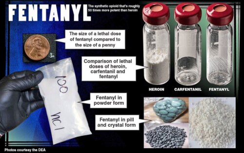 graphic showing a few grains of fentanyl next to a penny to illustrate lethal dose, three vials with amounts of lethal dose for heroin, carfentanil and fentanyl, and fentanyl in powder and pill forms