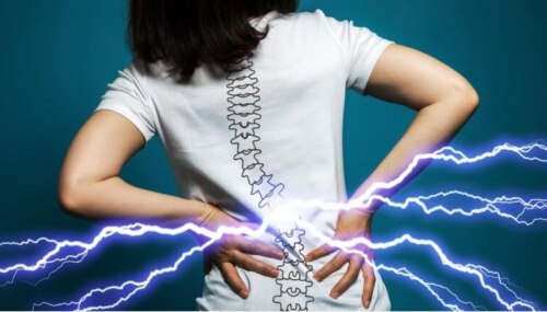 Back view of woman from hips to neck, wearing t-shirt with spinal vertebrae. She is clutching her lower back and blue lines are radiating outward from her grip.