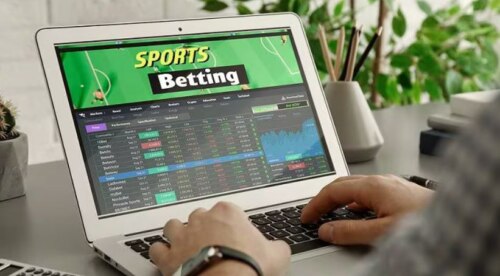 Open laptop with hands at keyboard - "Sports Betting" on the screen and desktop plant and pencil holder blurred in background.