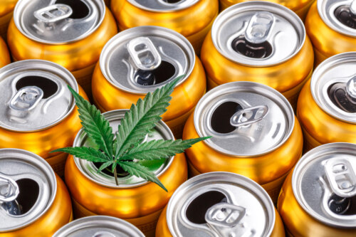 An array of orange cans, pop-tops open, with a hemp leaf poised atop one.