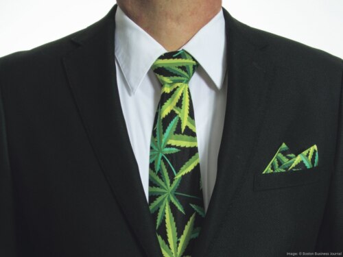 Chest view of person in white shirt and black suit jacket, with a cannabis-patterned tie and pocket handkerchief