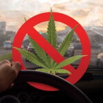 More Dangerous Than We Knew