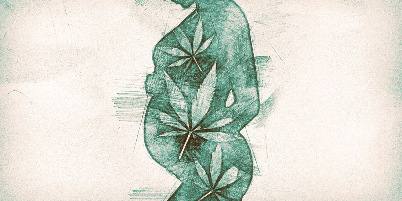 Pot and the Pregnant Person