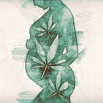 Pot and the Pregnant Person