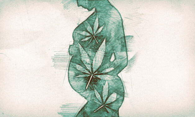 Pot and the Pregnant Person