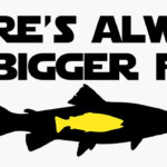 The Bigger Fish