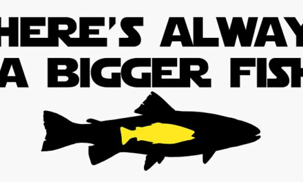The Bigger Fish
