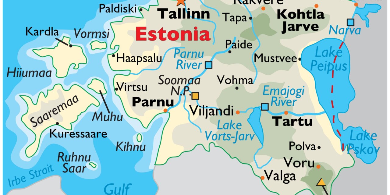 What We Can Learn from Estonia