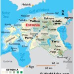 What We Can Learn from Estonia