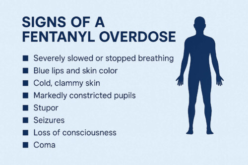 Human profile on the right, headline "Signs of a Fentanyl Overdose" listing Severely slowed or stopped breathing Blue lips and skin color Cold, clammy skin Markedly constricted pupils Stupor Seizures Loss of consciousness Coma